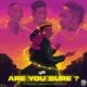 Are you sure - Naira Marley ft lyta & zinoleesky
