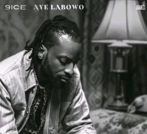 Aye Labowo by 9ice .jpg