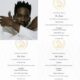 Mr Eazi Bags Latin Grammy Award