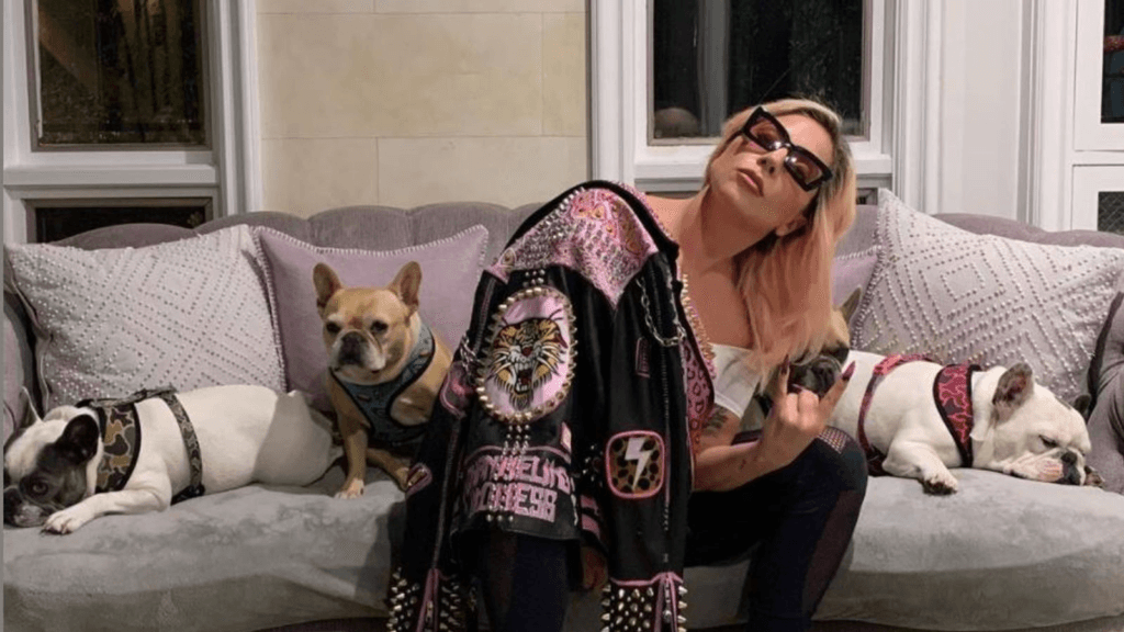 Lady Gaga: Why I need to dwell a lifetime of solitude