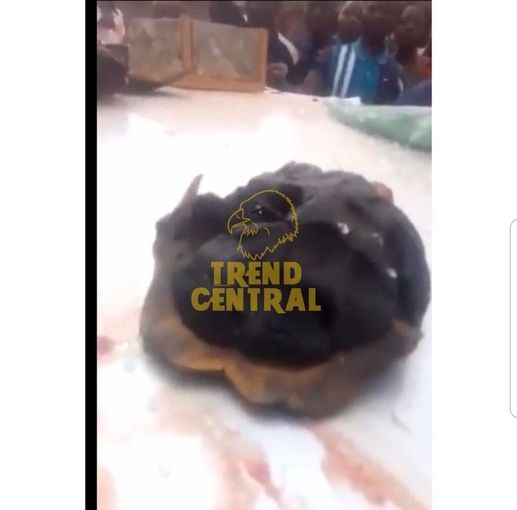 Screenshot 20230410 201929 Instagram
