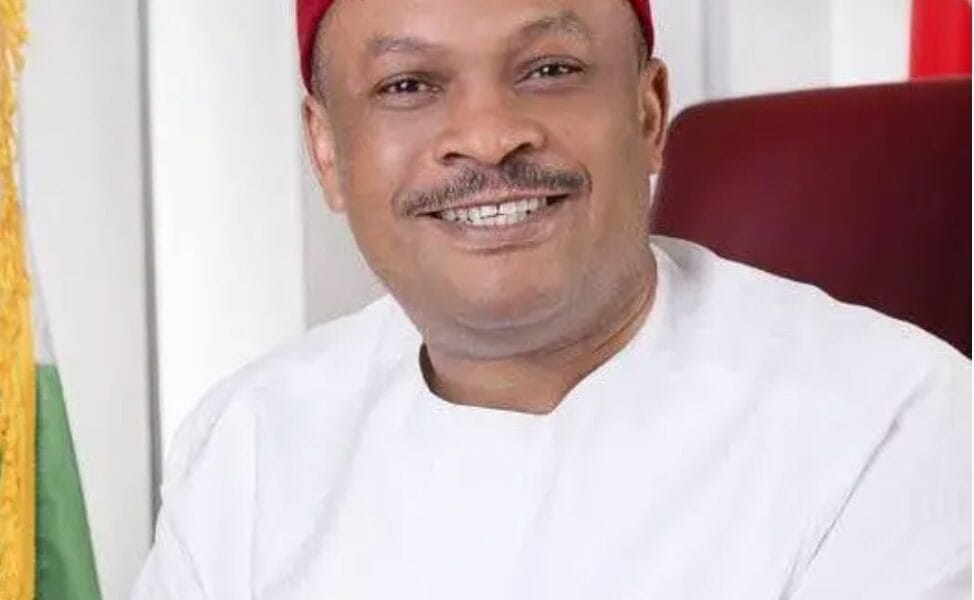 Pdp Younger Democrats Demand Quick Resignation Of Anyanwu As Nationwide Secretary - Imo Guber