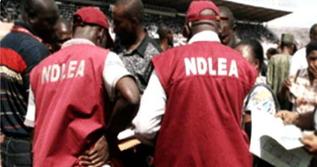 Hoodlums assault NDLEA operatives