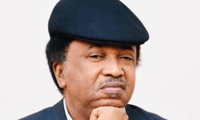 Shehu Sani Reacts After Tinubu Congratulated Finitri