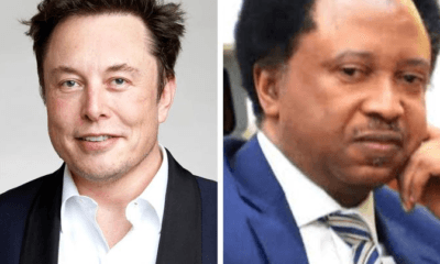 Shehu Sani React As Elon Musk Removes The Verification Badges Of Atiku, Peter Obi And Bola Tinubu