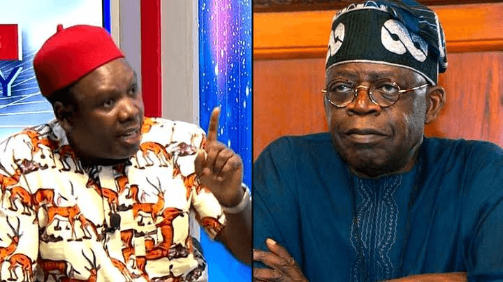 2023 Election: Daniel Bwala - The Votes Wike Credited To Tinubu Were Allegedly Stolen From Peter Obi