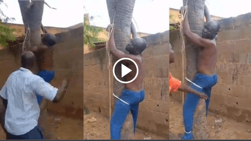 Nigerian Man Receives Severe Beating From His In-laws For beating their daughter (Video)