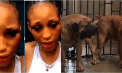 A Nigerian Lady Who Slept With Dog For N1.7Million In Lagos Speaks Up