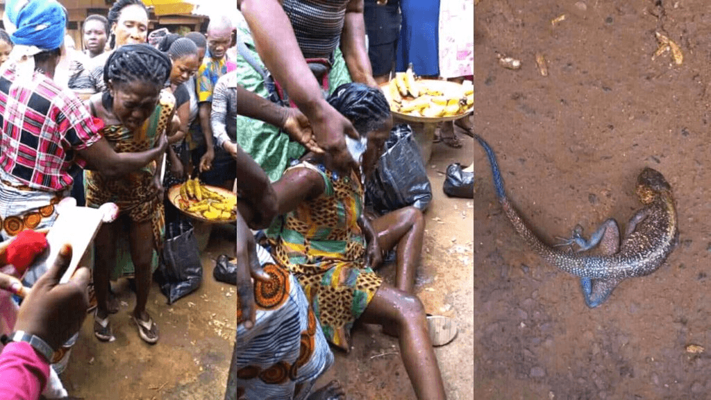 Nigerian woman allegedly gives birth to a Lizard in the market square (Photos)
