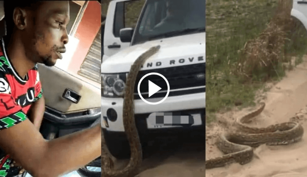 “Hookup girl I picked turned into a giant snake inside my car” – Nigerian Man shocking video