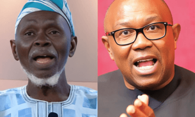 &Quot;Withdraw Your Petition Against Tinubu.&Quot; Lamidi Apapa'S Lp Faction Tells Obi
