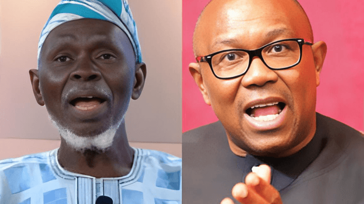 &Quot;Withdraw Your Petition Against Tinubu.&Quot; Lamidi Apapa'S Lp Faction Tells Obi