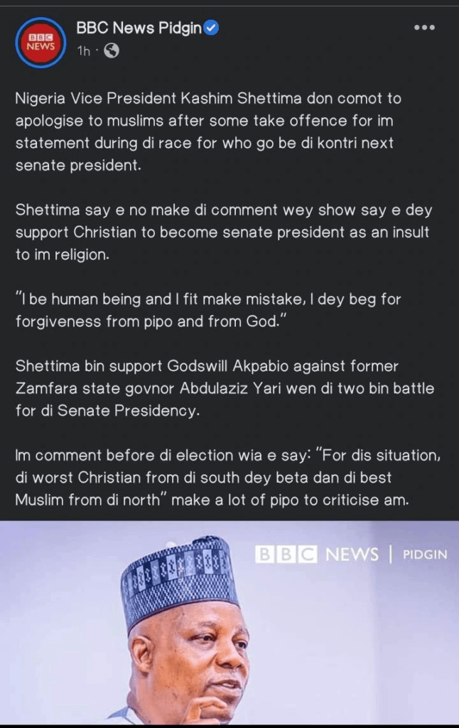 Shettima Apologizes to Nigerians for Insensitive Comments