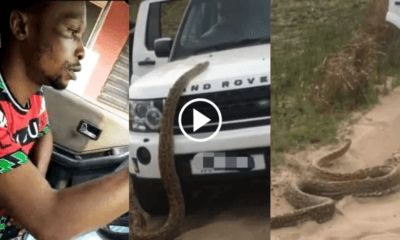 “Hookup girl I picked turned into a giant snake inside my car” – Nigerian Man shocking video