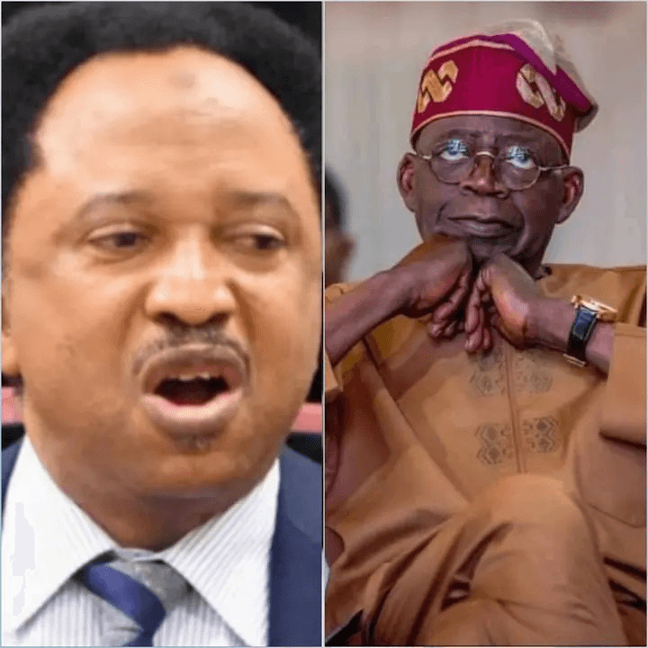 Tinubu's Shocking Decision To Snub El-Rufai – Shehu Sani 46 Tinubu's Shocking Decision To Snub El-Rufai – Shehu Sani