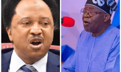 Shehu Sani Slams Fg'S 114% Salary Increase For Elected Politicians