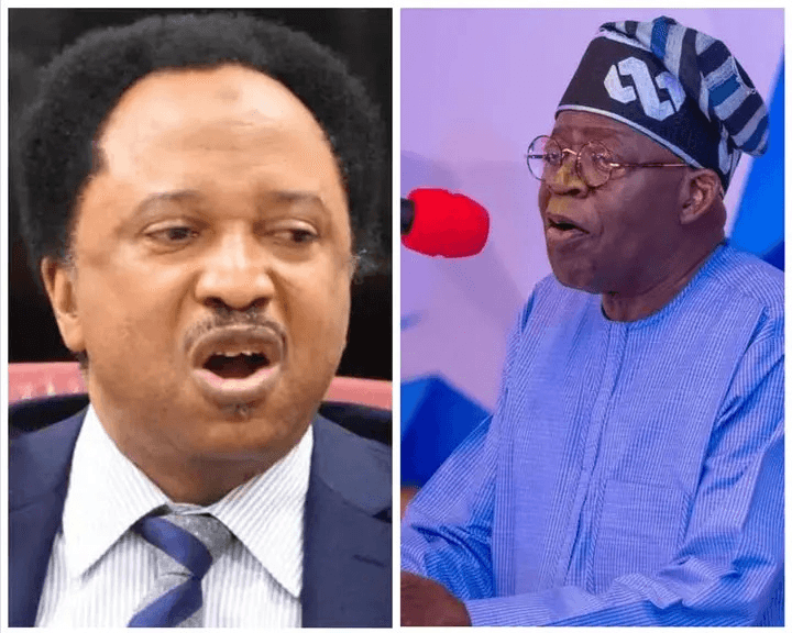 Shehu Sani Slams Fg'S 114% Salary Increase For Elected Politicians