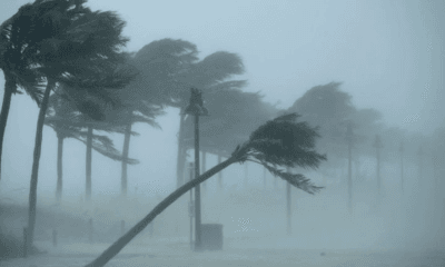 Federal Government Warn Citizens As Strong Winds Threaten 12 States [List]
