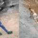 Army Officer, Woman Detained For Public Humiliation Of Man In Ekiti