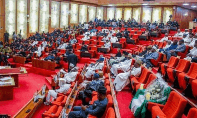 Minority Parties Sound Alarm Over Alleged Plot To Destabilize Senate Caucus Leadership