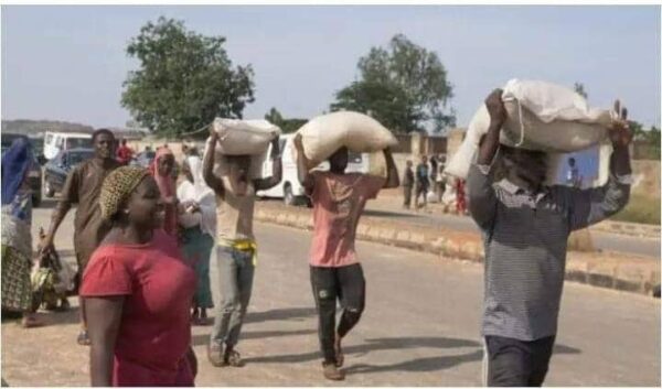 1690721234 882 Fintiri declares curfew as Hoodlums break into NEMA warehouse cart