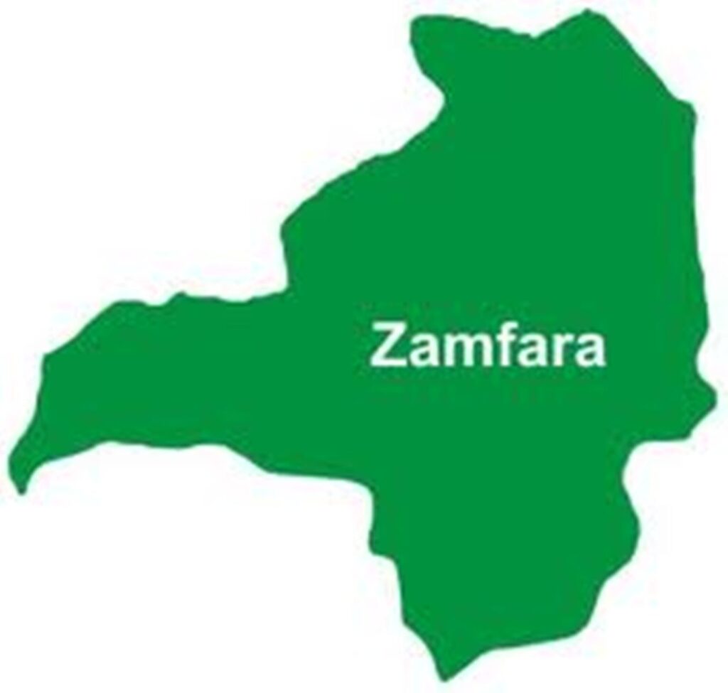 Zamfara Celebrates One Year Free of Polio Virus