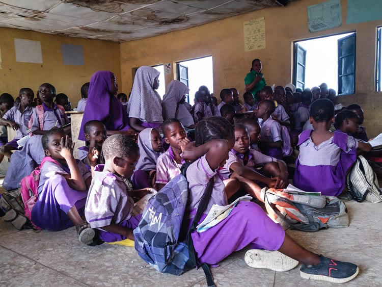 Govt Urged To Make Basic, Secondary Education Free, Compulsory