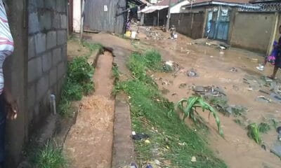 Living In Gullies