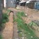 Living In Gullies