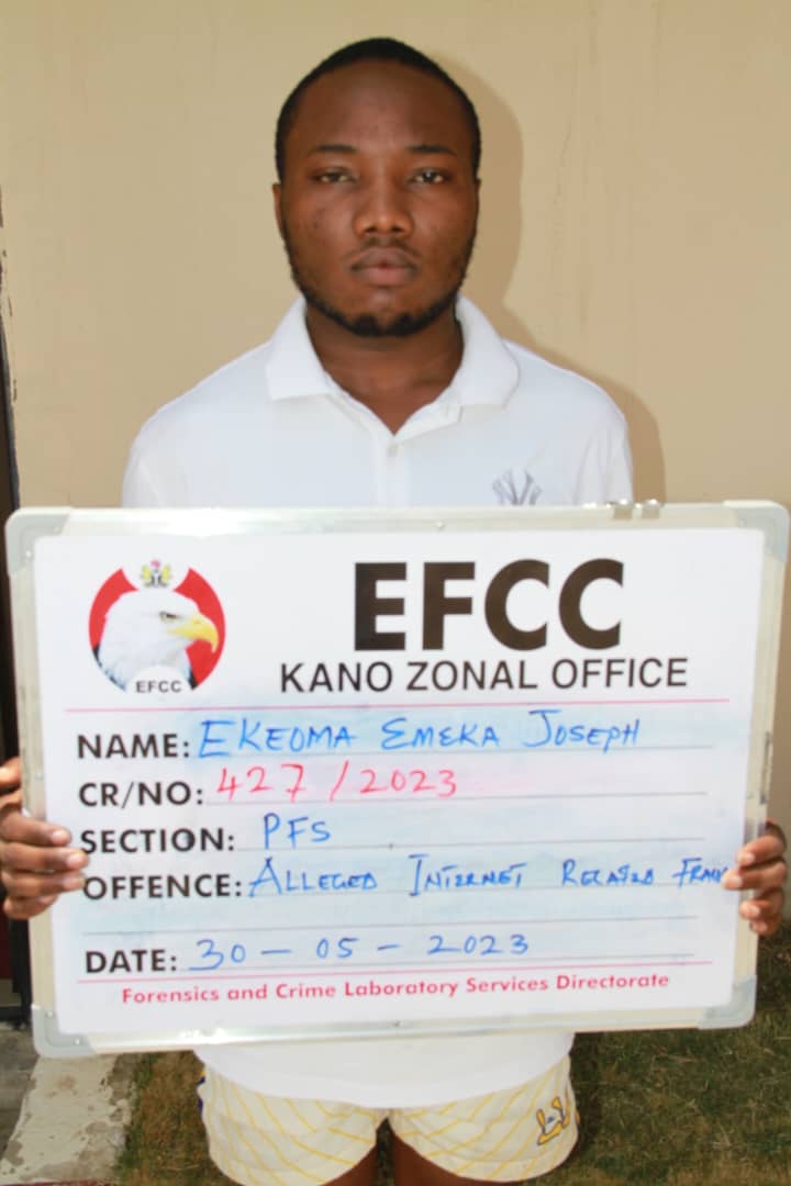 Internet fraudster