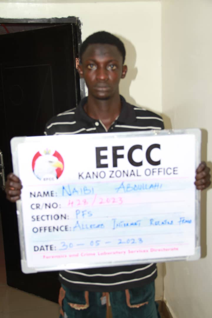 Internet fraudster