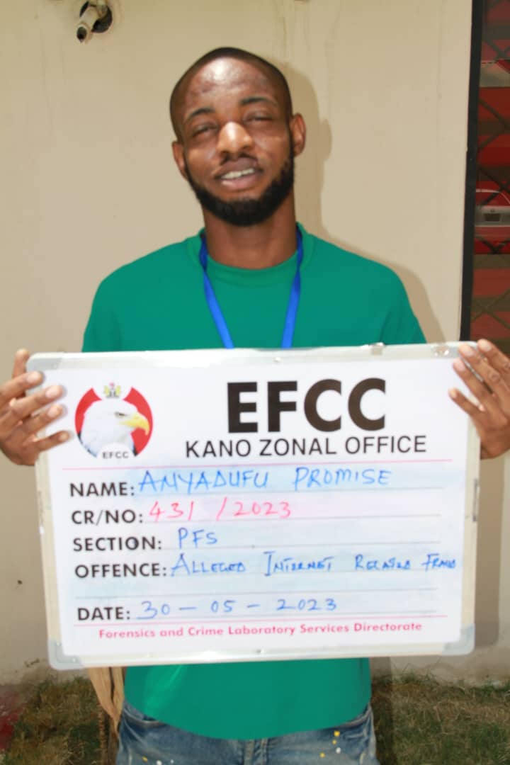 Internet fraudster