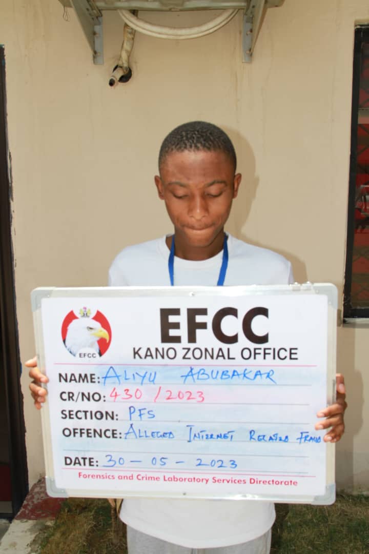 Internet fraudster