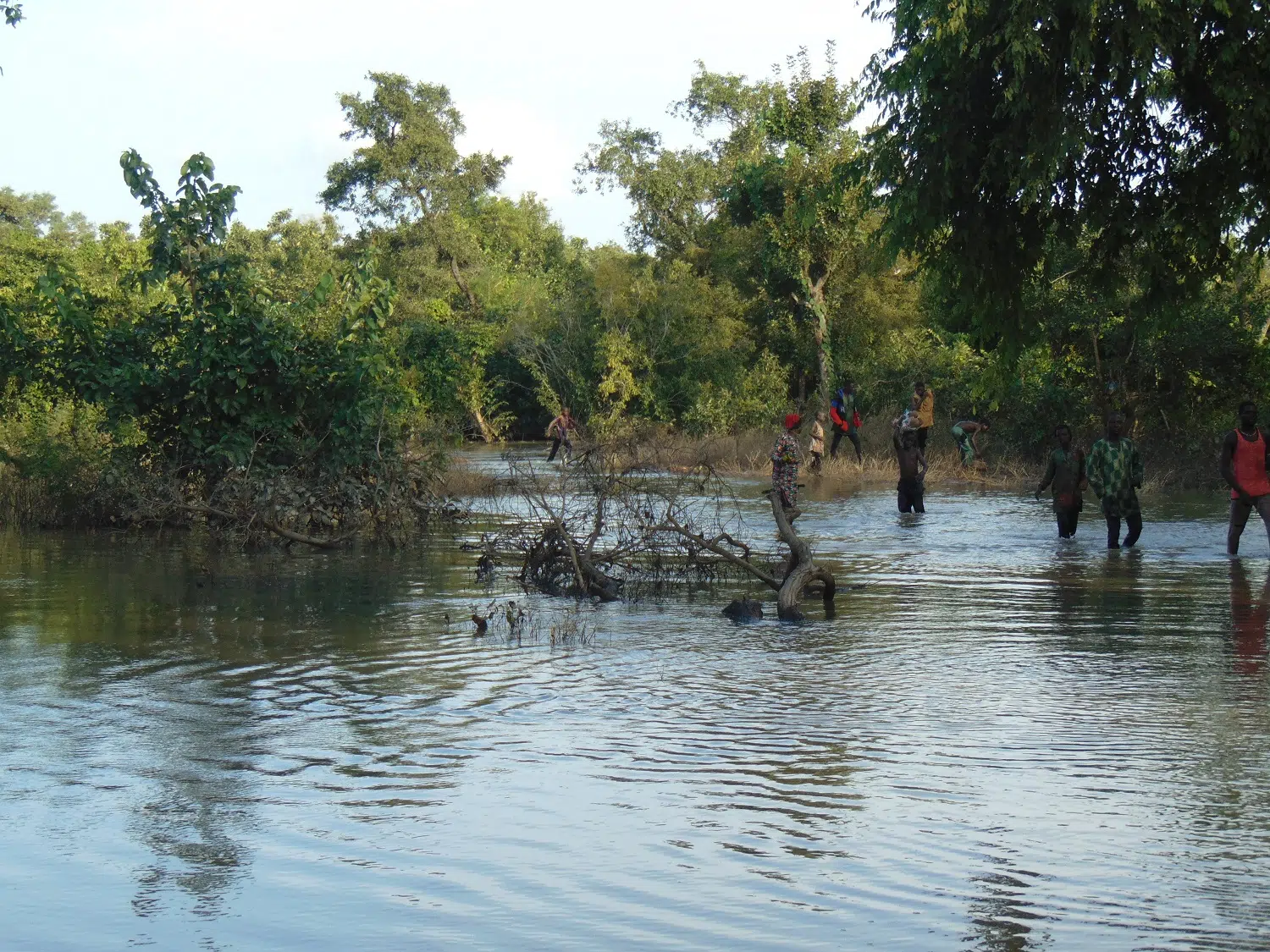 Flood, banditry displace 6,000 in Niger