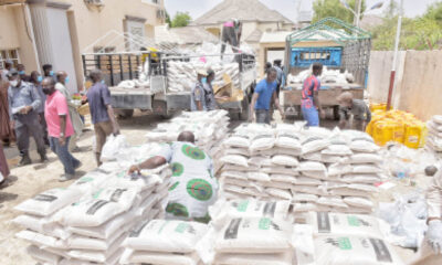 N5bn palliative, grant to states shambolic, unscientific – ACF Spokesman