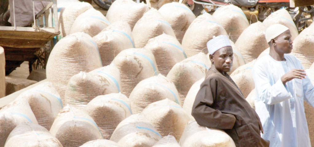 Protest: Navy Forestalls Looting Of Dawanau Grains Market In Kano