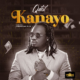 Kanayo Lyrics By Qdot