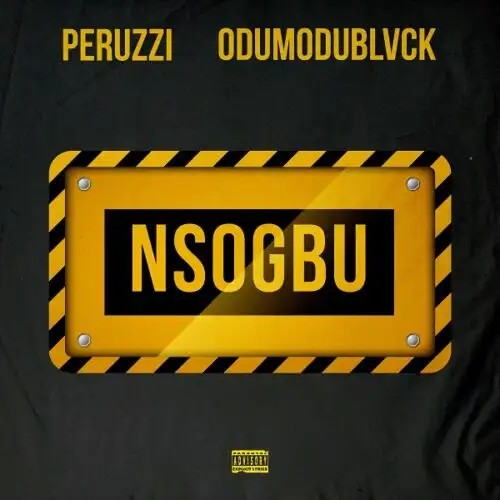 Peruzzi &Amp; Odumodublvck – Nsogbu Lyrics