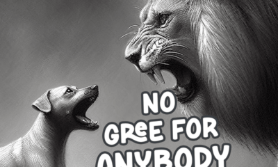 No Gree For Anybody (Ngfa) Lyrics By Spyro