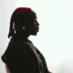 &Quot;Fireboy Clarifies Meaning Of Afrobeat And Afrobeats&Quot;