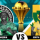Nigerians In South Africa Warned Ahead Of Afcon Clash Between Super Eagles And Bafana Bafana