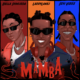 Mamba Lyrics By Larrylanes Ft Seyi Vibez &Amp; Bella Shmurda