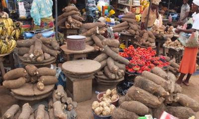 World Bank Identifies Seven Nigerian States At Risk Of Severe Food Crisis