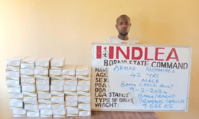 Mohammed, Supplier Of Drugs To Terrorists, Apprehended In Borno
