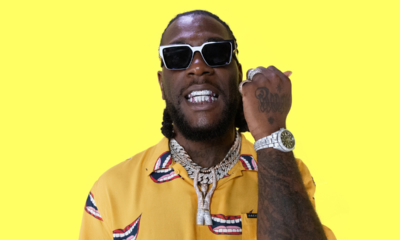 Burna Boy Throws Epic Shade At Davido'S Fan Amid Grammy Critique