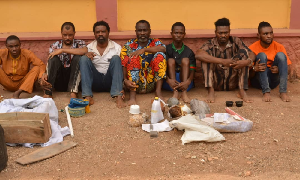 Ogun Police Command Apprehends Seven Suspected Ritualists With Human Parts