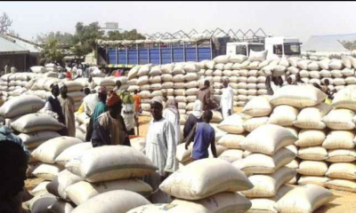 Traders At Dawanau Grains Market Challenge Kano Government Over Alleged Hoarding
