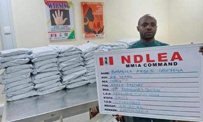 Ndlea Intercepts Large Consignment Of &Quot;Loud&Quot; Concealed In Loudspeakers