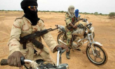 Victims Report Kidnappers' Use Of Poisonous Snakes To Terrorize Them