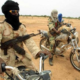Victims Report Kidnappers' Use Of Poisonous Snakes To Terrorize Them